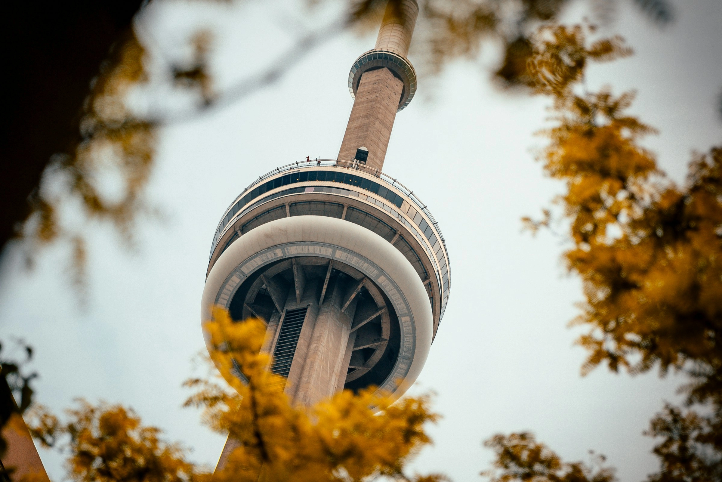 Study Tours Toronto