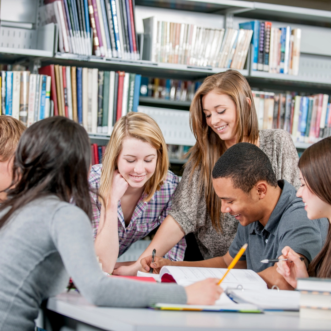 Le materie normalmente svolte da uno studente internazionale:
