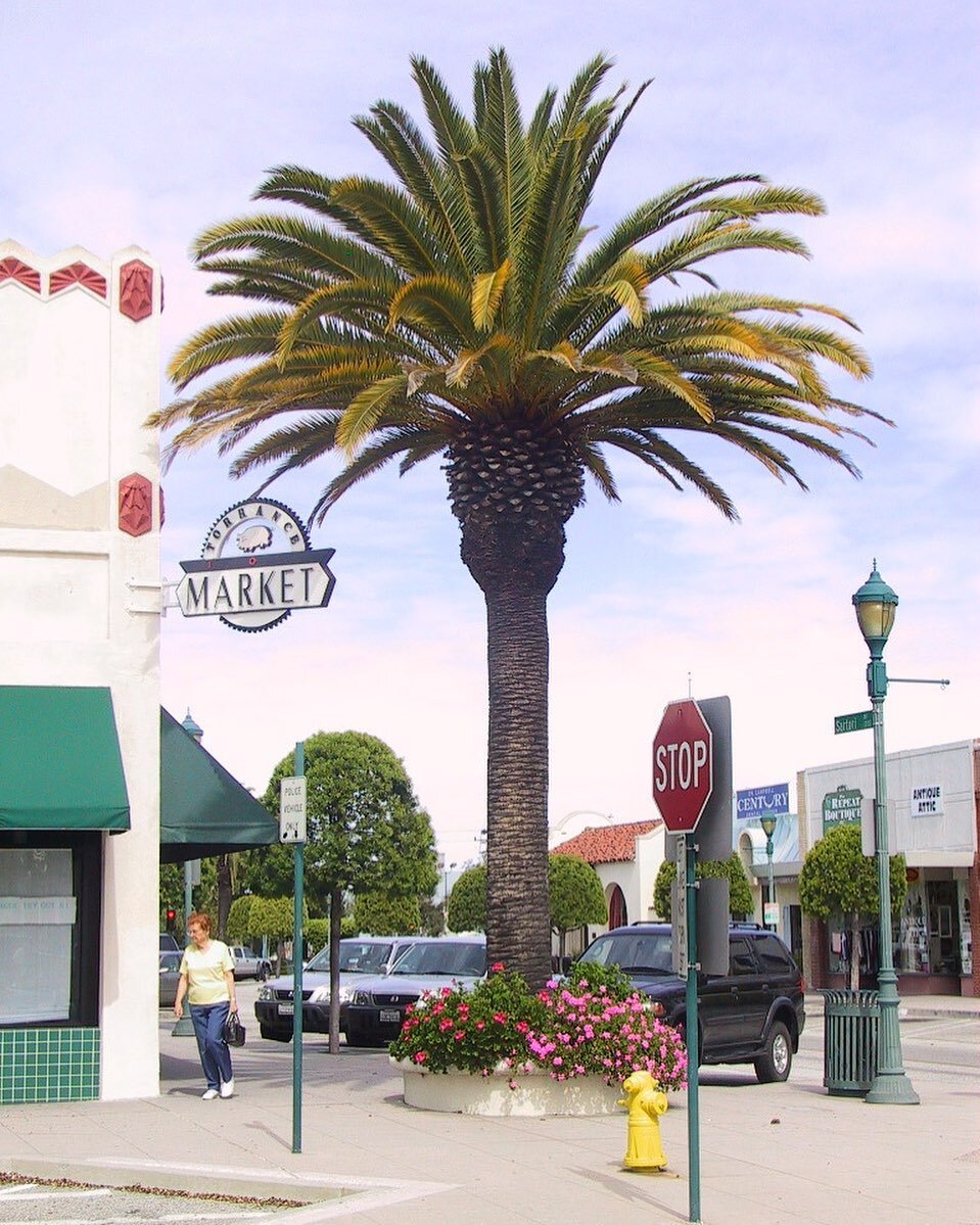 Torrance Anno All'estero