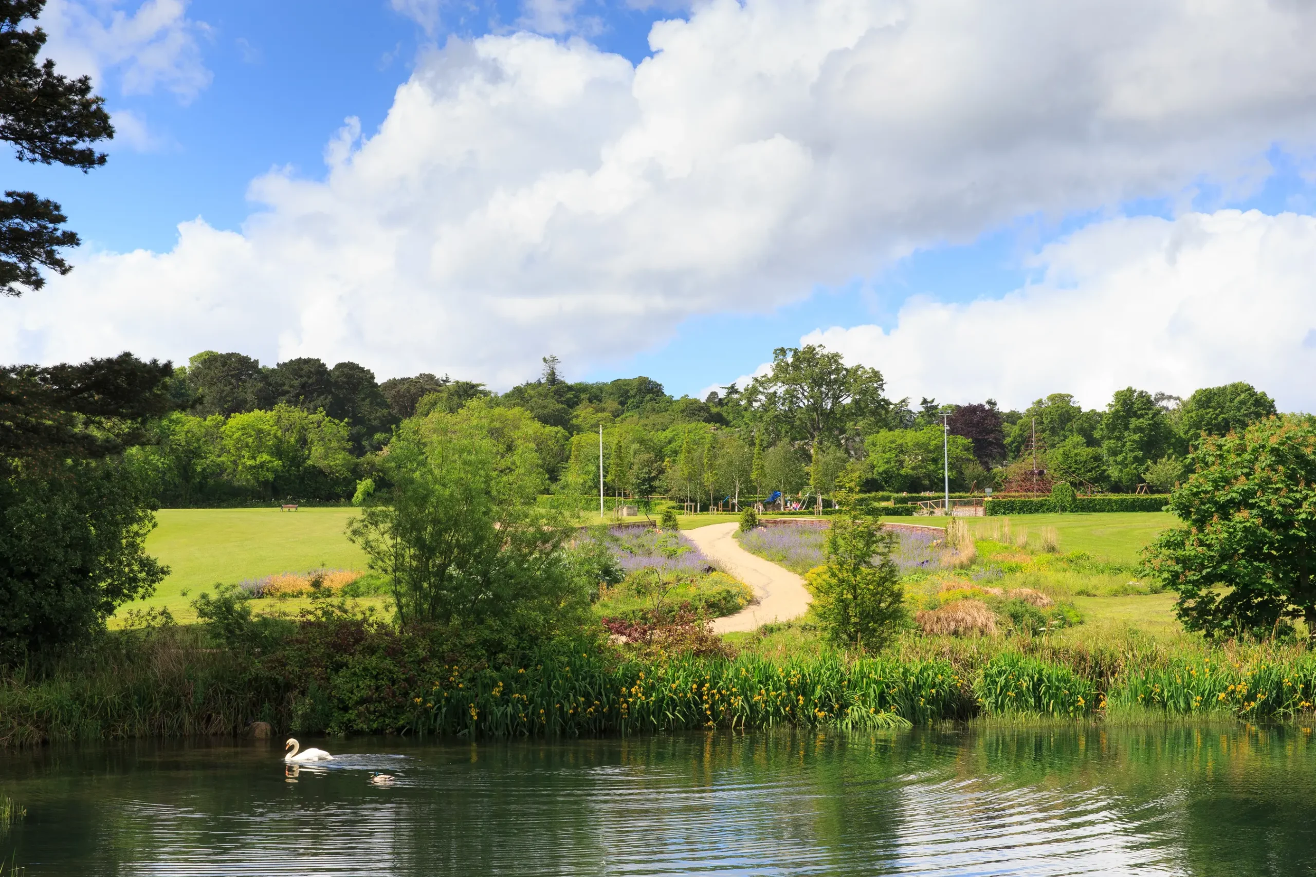 Cabinteely Community School
