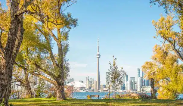 Vivere Toronto