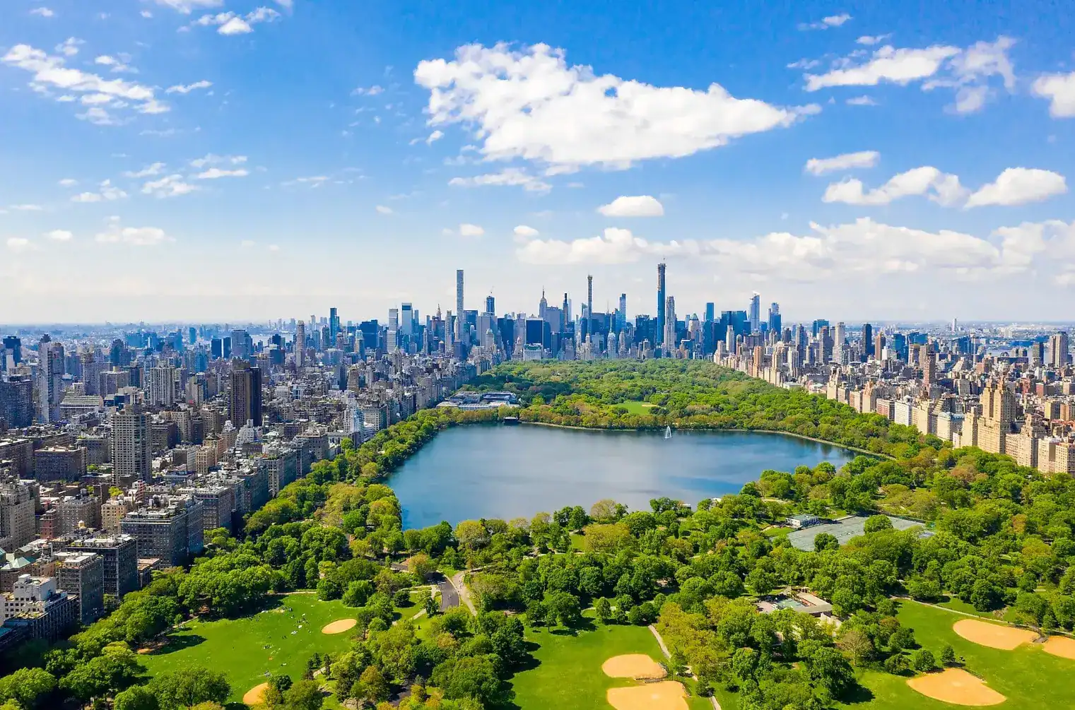 Parco verde con skyline di New York