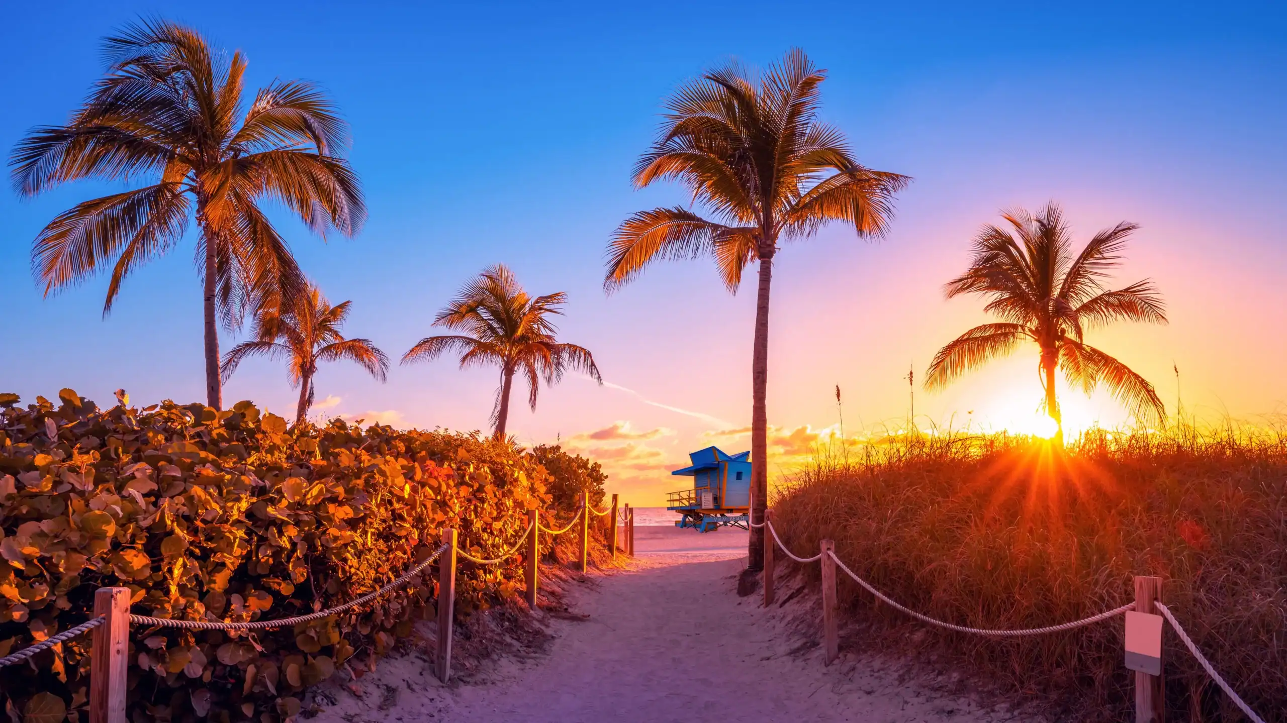 Spiaggia al tramonto con palme