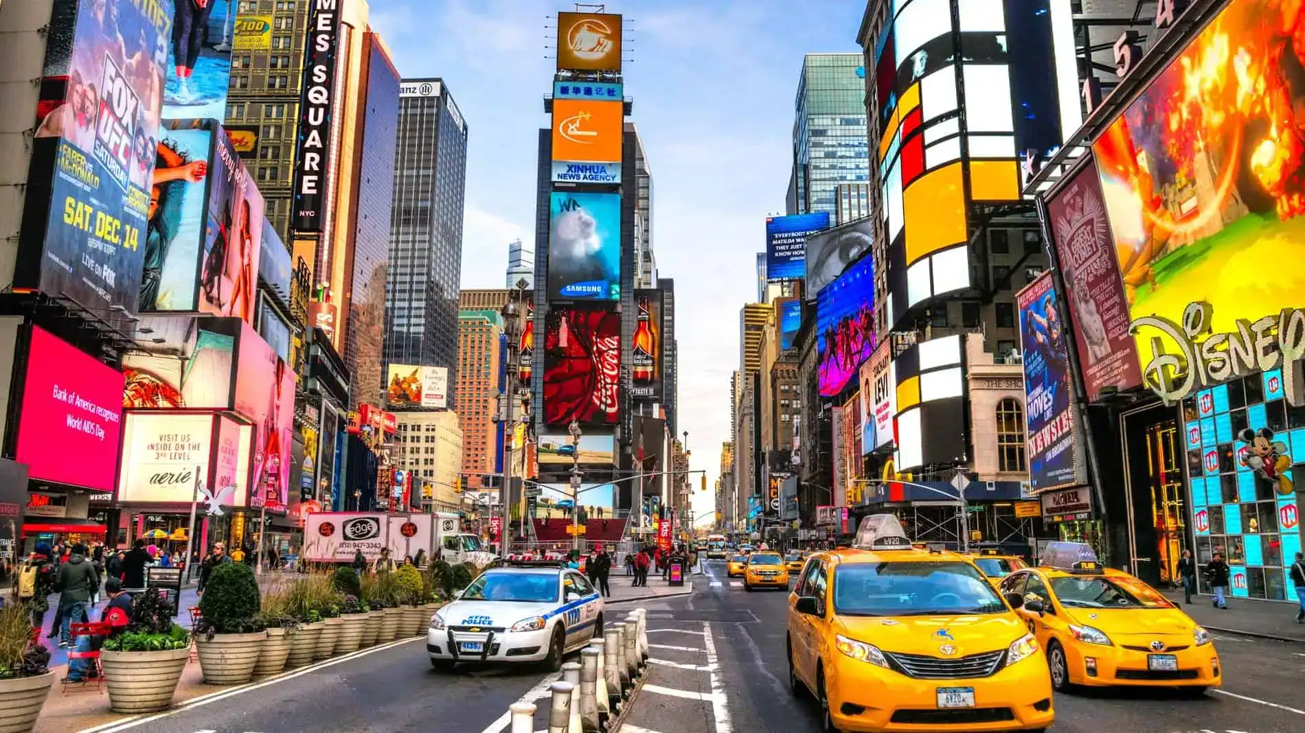 Vivere New York